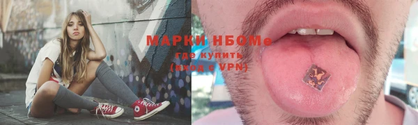 сатива Переславль-Залесский