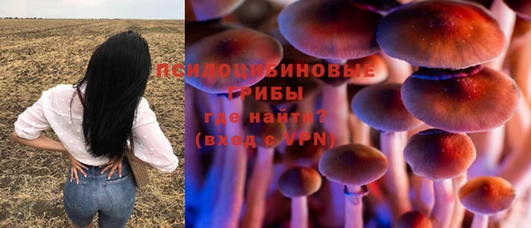 круглые Покачи