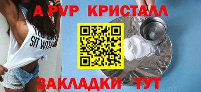 СК Новодвинск