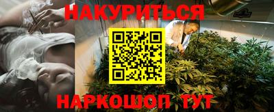 СК Новодвинск