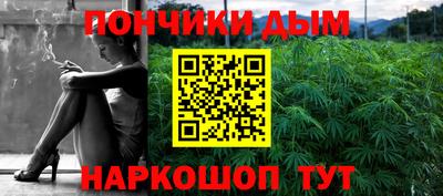 СК Новодвинск