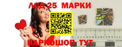 СК Новодвинск