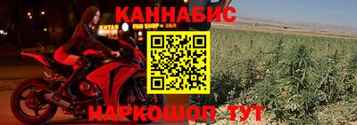 СК Новодвинск
