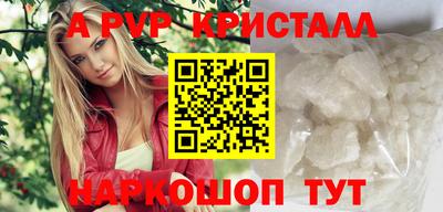 СК Новодвинск