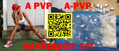 СК Новодвинск