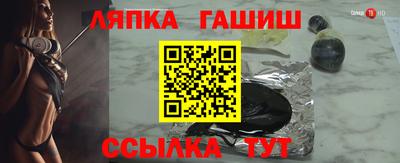 СК Новодвинск