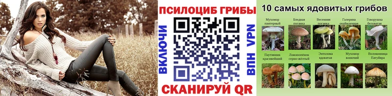kraken сайт Холмск Псилоцибиновые грибы прущие грибы