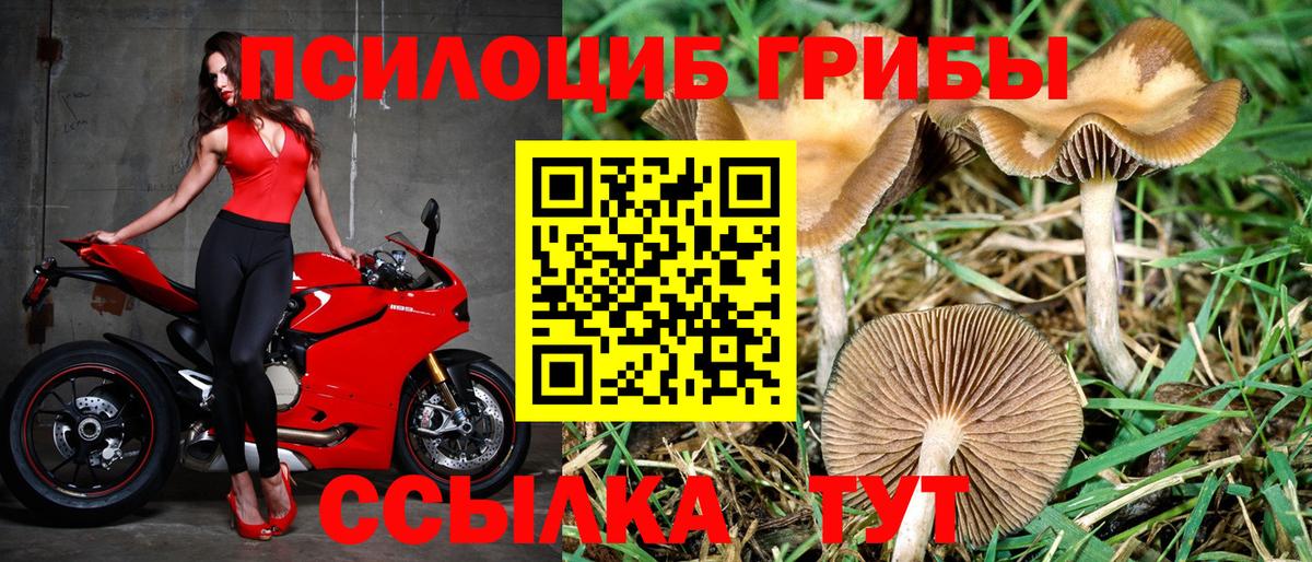 Псилоцибиновые грибы мухоморы Холмск