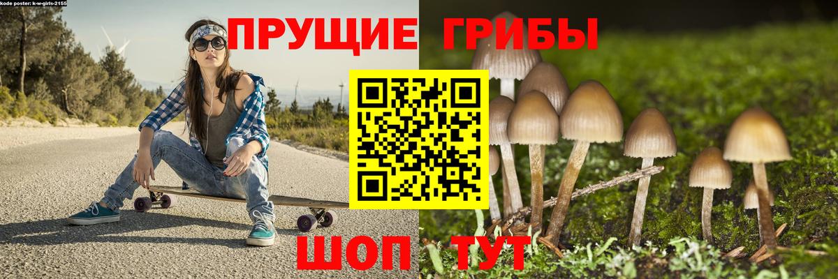Холмск  Галлюциногенные грибы GOLDEN TEACHER  Вход с VPN 